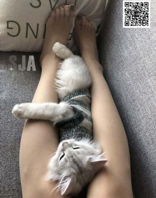 一代骄马_超清全集免费观看