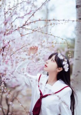 万古神帝张若尘免费版短剧_BT种子下载